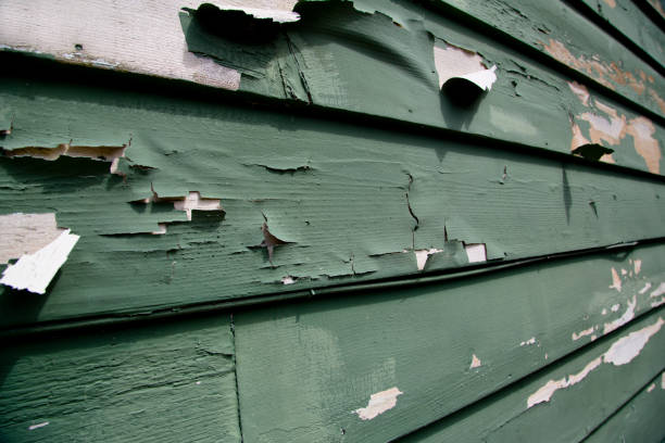 Best Aluminum Siding Installation  in College, AK