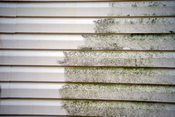 Siding Removal and Disposal in College, AK