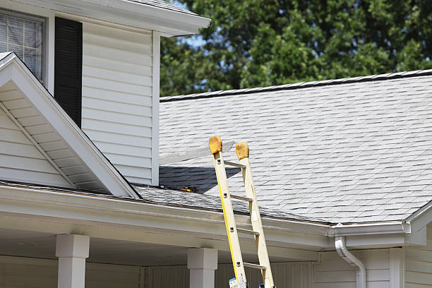 Best Historical Building Siding Restoration  in College, AK